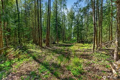 28461 Mountain Hwy E, Graham, WA 98338 - Photo 14