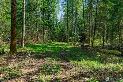 28461 Mountain Hwy E, Graham, WA 98338 - Photo 10