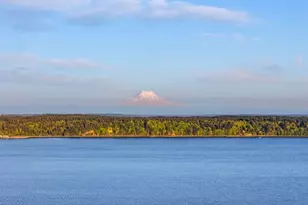 727 E Stretch Island Rd S, Grapeview, WA 98546 - Photo 2