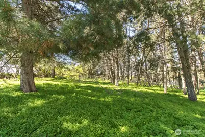 3001 Pullman Albion Road, Pullman, WA 99163 - Photo 32