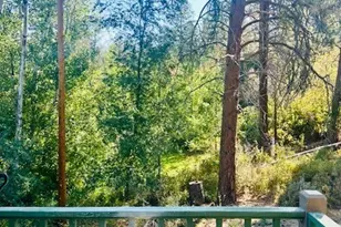 146 E Chewuch Rd, Winthrop, WA 98862 - Photo 38