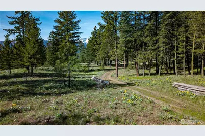 0 Tbd Mineral Hill Road, Conconully, WA 98819 - Photo 30