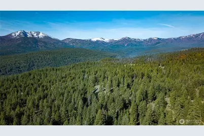 0 Tbd Mineral Hill Road, Conconully, WA 98819 - Photo 10