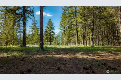 0 Tbd Mineral Hill Road, Conconully, WA 98819 - Photo 26