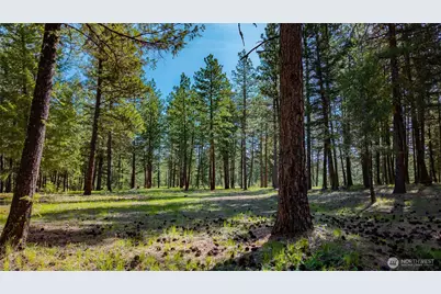 0 Tbd Mineral Hill Road, Conconully, WA 98819 - Photo 20