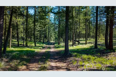 0 Tbd Mineral Hill Road, Conconully, WA 98819 - Photo 16
