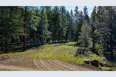 0 Tbd Mineral Hill Road, Conconully, WA 98819 - Photo 18