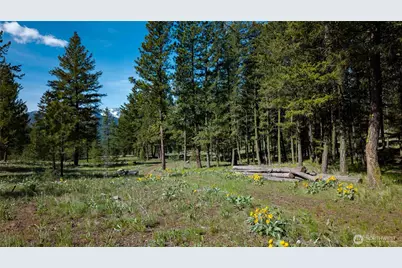 0 Tbd Mineral Hill Road, Conconully, WA 98819 - Photo 28