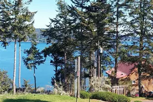 382 Discovery Way, Sequim, WA 98382 - Photo 40