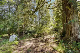 7831 Phillips Rd SE, Port Orchard, WA 98367 - Photo 20