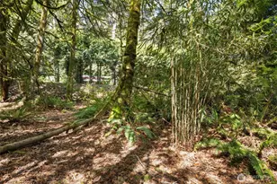 7831 Phillips Rd SE, Port Orchard, WA 98367 - Photo 22
