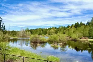 23419 NE 10th Pl, Sammamish, WA 98074 - Photo 34