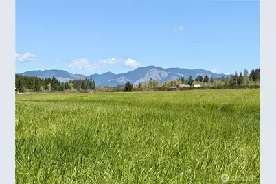 0 Xxx W Forest Green Lane, Elma, WA 98541 - Photo 2