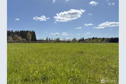 0 Xxx W Forest Green Lane, Elma, WA 98541 - Photo 4