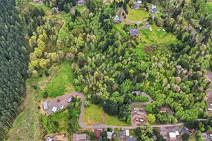 132 Lake Terrace Dr, Mossyrock, WA 98564 - Photo 36