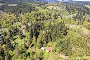 2041 Delameter Rd, Castle Rock, WA 98611 - Photo 40
