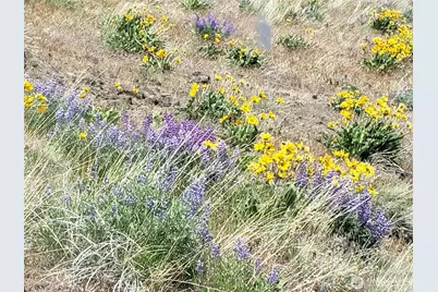 3671 W Sun East Road, Ellensburg, WA 98926 - Photo 18