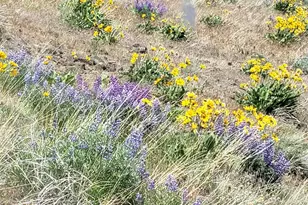 3671 W Sun East Rd, Ellensburg, WA 98926 - Photo 18