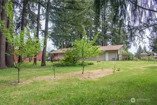 9844 173rd Ave SW, Rochester, WA 98579 - Photo 34