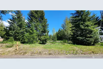 113 Cottonwood Lane, Packwood, WA 98361 - Photo 1