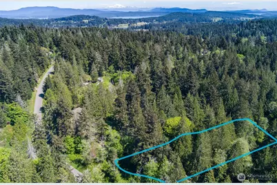 162 Miller Road, Friday Harbor, WA 98250 - Photo 32