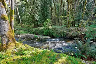 293515 US Hwy 101, Quilcene, WA 98376 - Photo 38