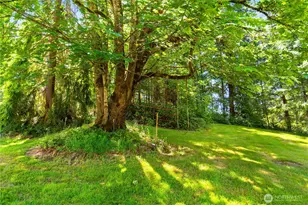 20005 232nd Ave SE, Maple Valley, WA 98038 - Photo 24