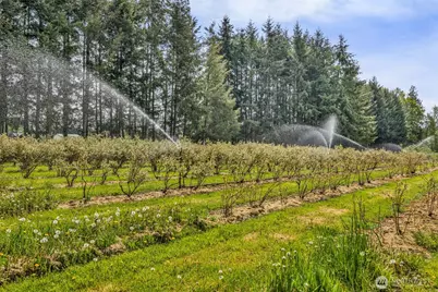 761 State Route 508, Chehalis, WA 98532 - Photo 16