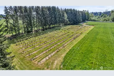 761 State Route 508, Chehalis, WA 98532 - Photo 4