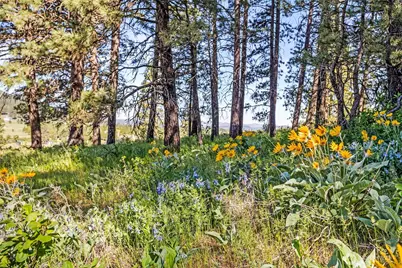 2681 Hidden Valley Road, Cle Elum, WA 98922 - Photo 40