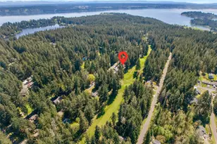 10804 Pioneer Dr, Anderson Island, WA 98303 - Photo 40