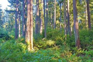 11302 106th St, Anderson Island, WA 98303 - Photo 1