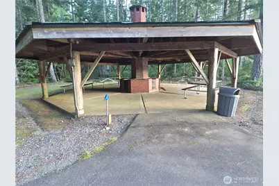 41 N Mt Rose Avenue, Hoodsport, WA 98548 - Photo 34