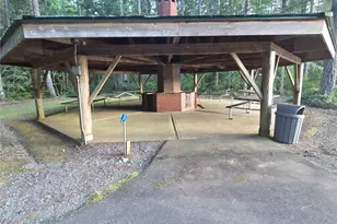 41 N Mount Rose Ave, Hoodsport, WA 98548 - Photo 34