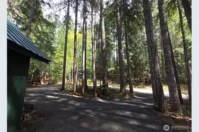 41 N Mt Rose Avenue, Hoodsport, WA 98548 - Photo 26