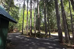 41 N Mount Rose Ave, Hoodsport, WA 98548 - Photo 26
