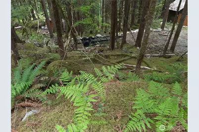 0 Cascade River Road, Marblemount, WA 98263 - Photo 10