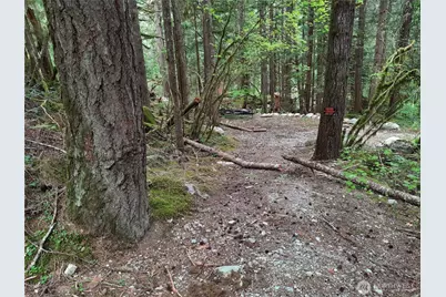 0 Cascade River Road, Marblemount, WA 98263 - Photo 2