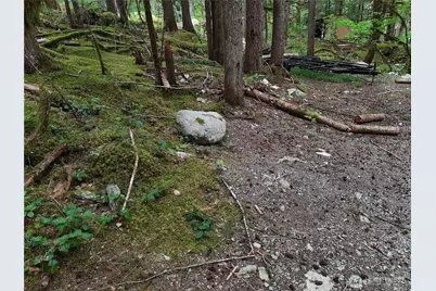 0 Cascade River Road, Marblemount, WA 98263 - Photo 8