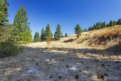 0 Sky Meadows Road, Cashmere, WA 98815 - Photo 28