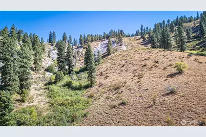 0 Sky Meadows Road, Cashmere, WA 98815 - Photo 36