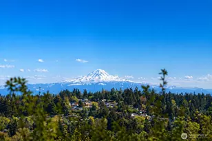 1429 SW 170th St, Normandy Park, WA 98166 - Photo 4