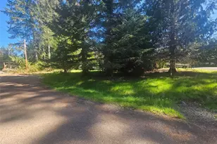 1160 E Lakeshore Dr W, Shelton, WA 98584 - Photo 10