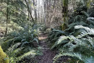 2497 Goss Ridge Rd, Freeland, WA 98249 - Photo 38
