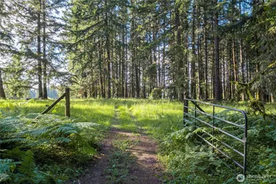258 Antrim Road, Winlock, WA 98596 - Photo 32