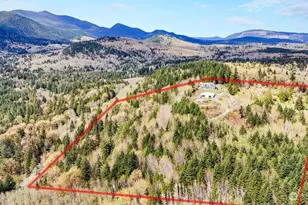 542 Doe Run Rd, Quilcene, WA 98376 - Photo 34