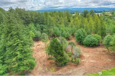 0 Old Wentzel Slough Road, Elma, WA 98541 - Photo 6