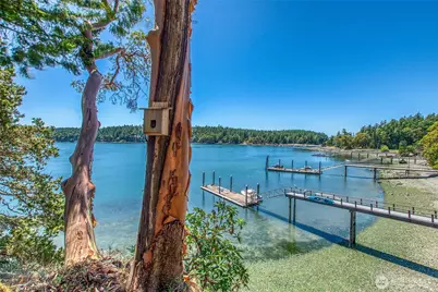 6998 Deer Harbor Road, Orcas Island, WA 98245 - Photo 16