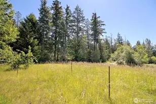 361 N North Hill Rd, Hoodsport, WA 98548 - Photo 36