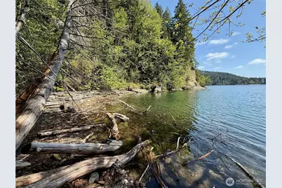 650 W Cushman Ridge Drive, Hoodsport, WA 98548 - Photo 8